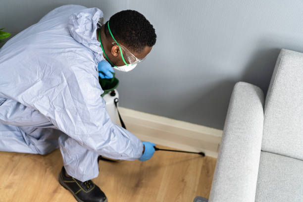 Reliable Northbrook, IL Pest Control Solutions